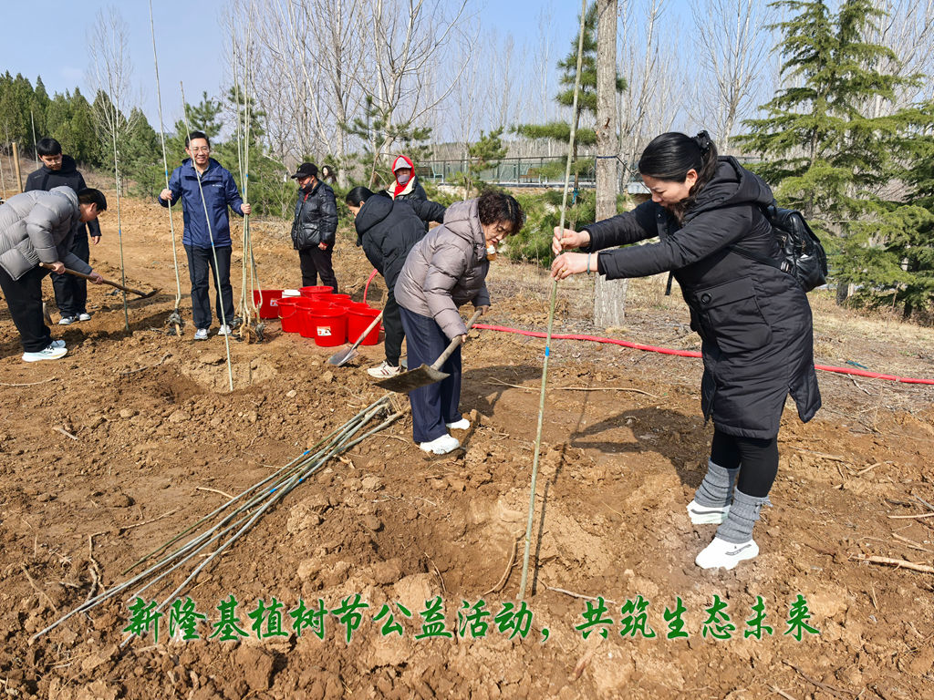 新隆基项目管理有限公司主办植树节公益活动 丛台区新联会携手添绿共筑生态未来