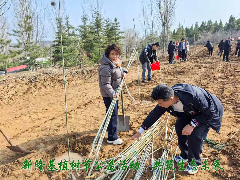 20260321173856429 20260321173856429