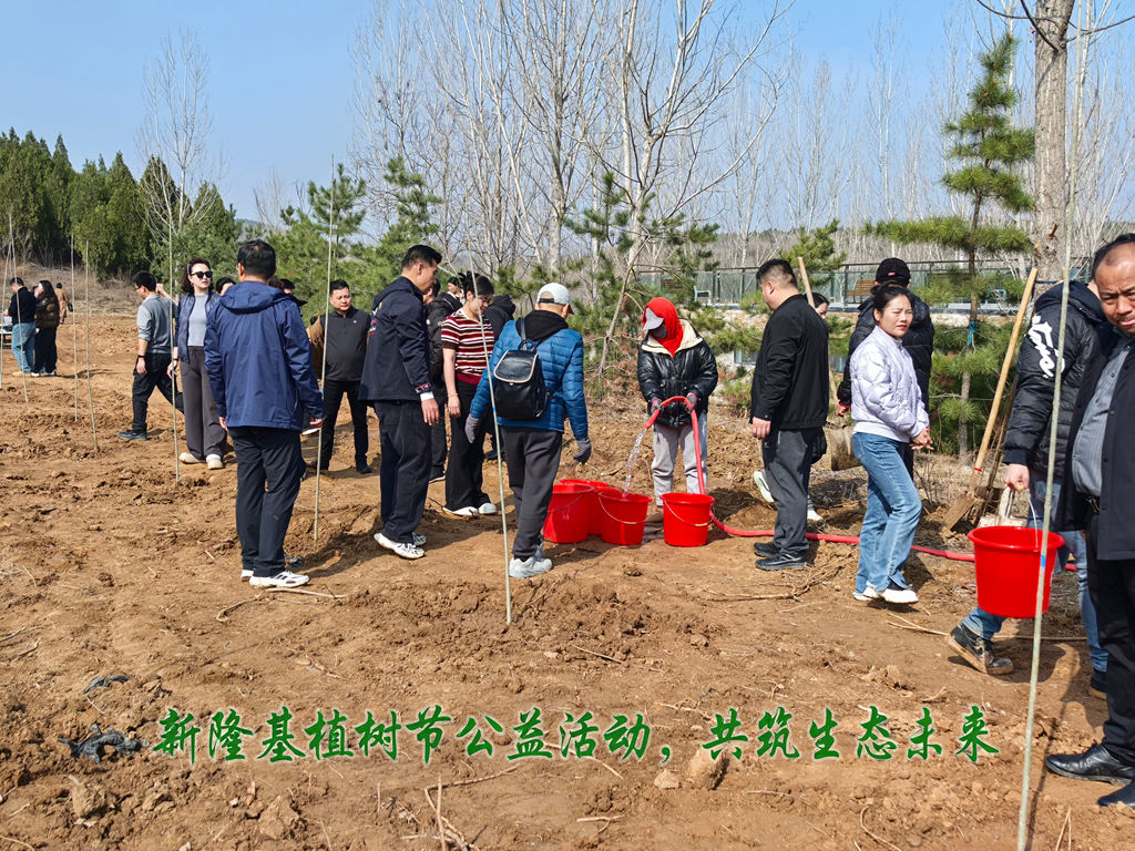 20260321173922026 20260321173922026